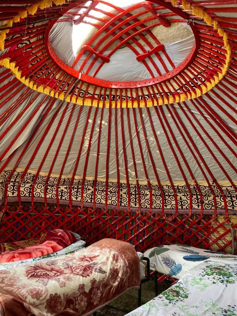 Zalkar Yurt Camp Hotel Song-Kul Kültér fotó